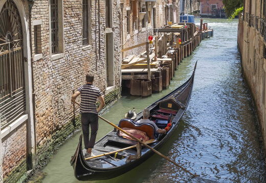 Venice 2023 - 4