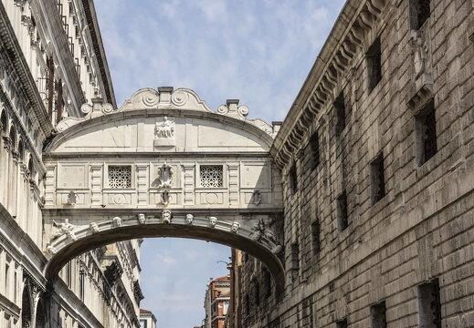 Venice 2023 - 7