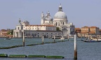 Venice 2023 - 19
