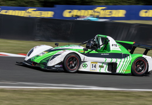 BTCC 2024 - 46