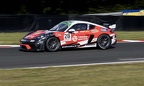 BTCC 2024 - 52